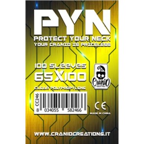 100-bustine-pyn-65x100