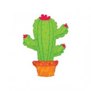 3915_palloncino_cactus