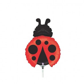 4099_palloncinno_coccinella_piccolina