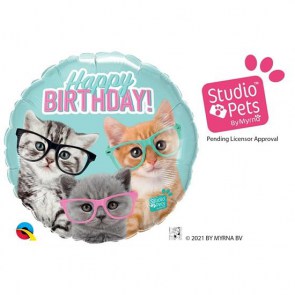 4137_palloncino_gattini_compleanno