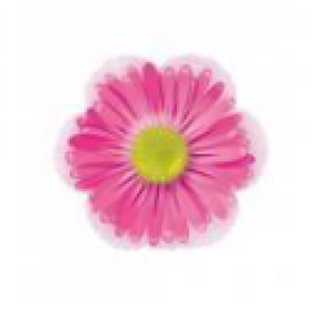 fiore