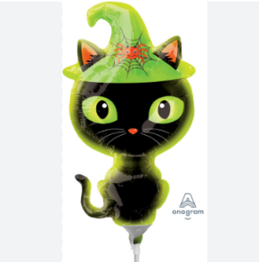 kitty
